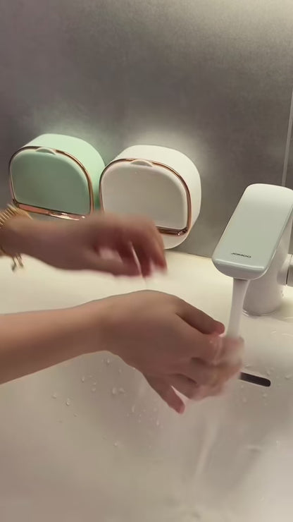 Wall Mounted Soap Dish